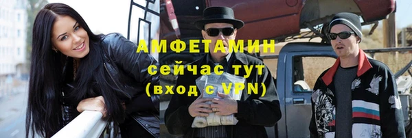 крисы Магас