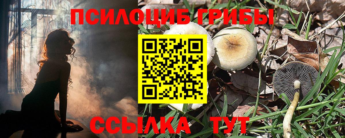 Псилоцибиновые грибы мицелий Бор