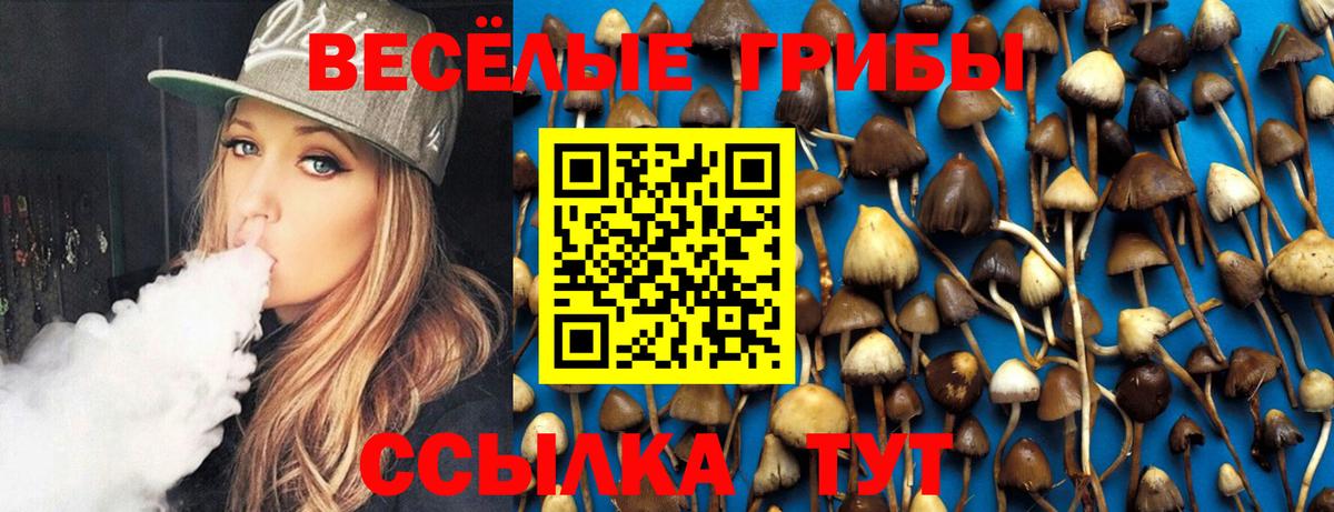 Бор  Псилоцибиновые грибы ЛСД  Псилоцибиновые грибы Cubensis  наркотики  Вход с VPN 